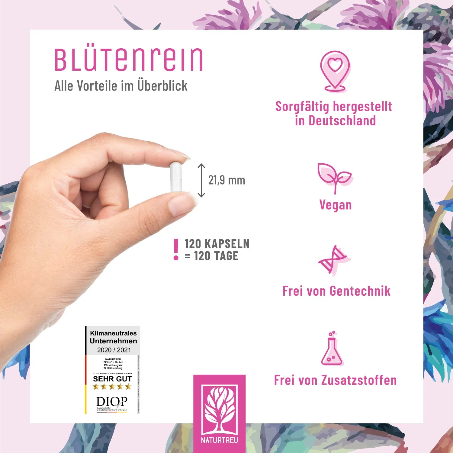 Vorschaubild 4