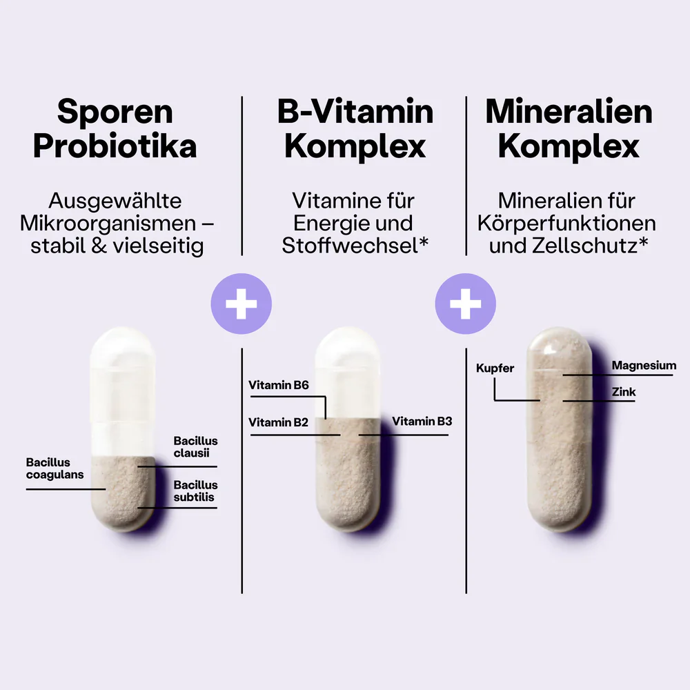 Vorschaubild 4