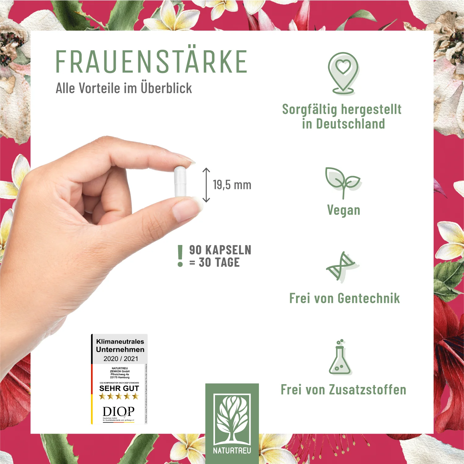 Vorschaubild 5