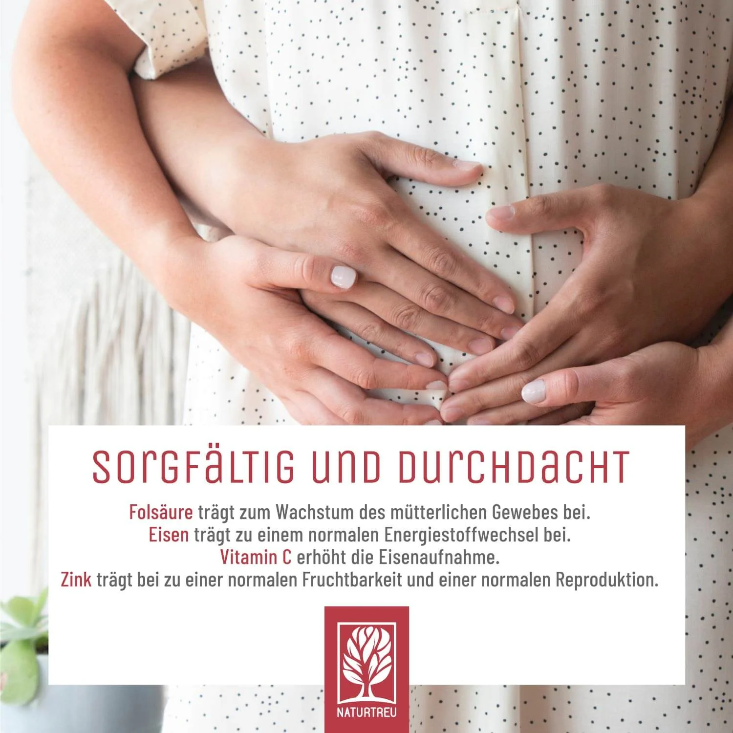Vorschaubild 6