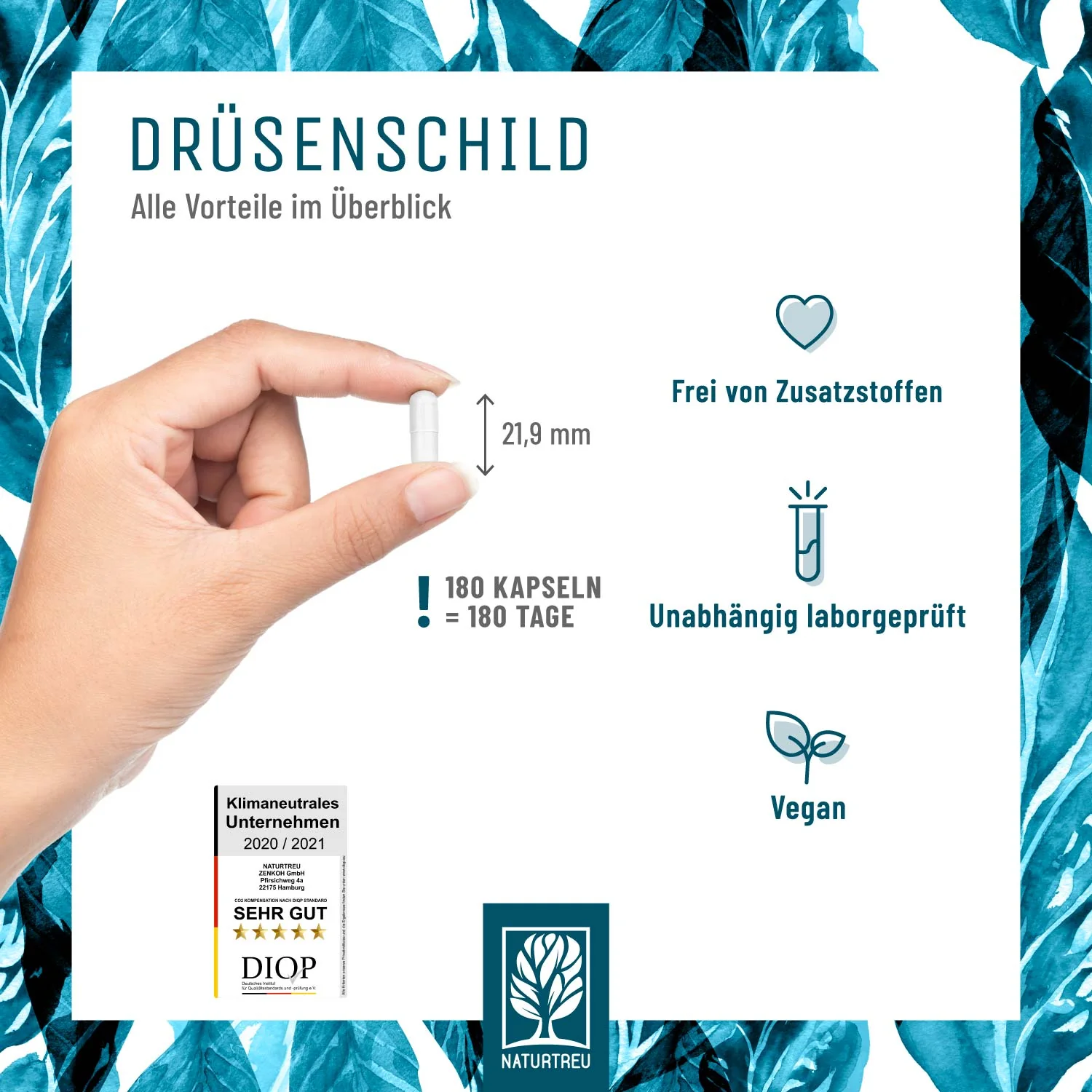Vorschaubild 5