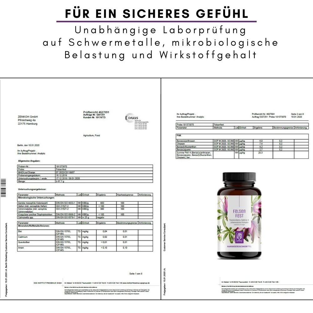Vorschaubild 8