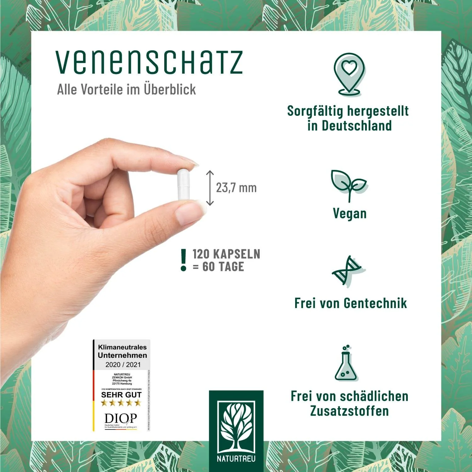 Vorschaubild 6