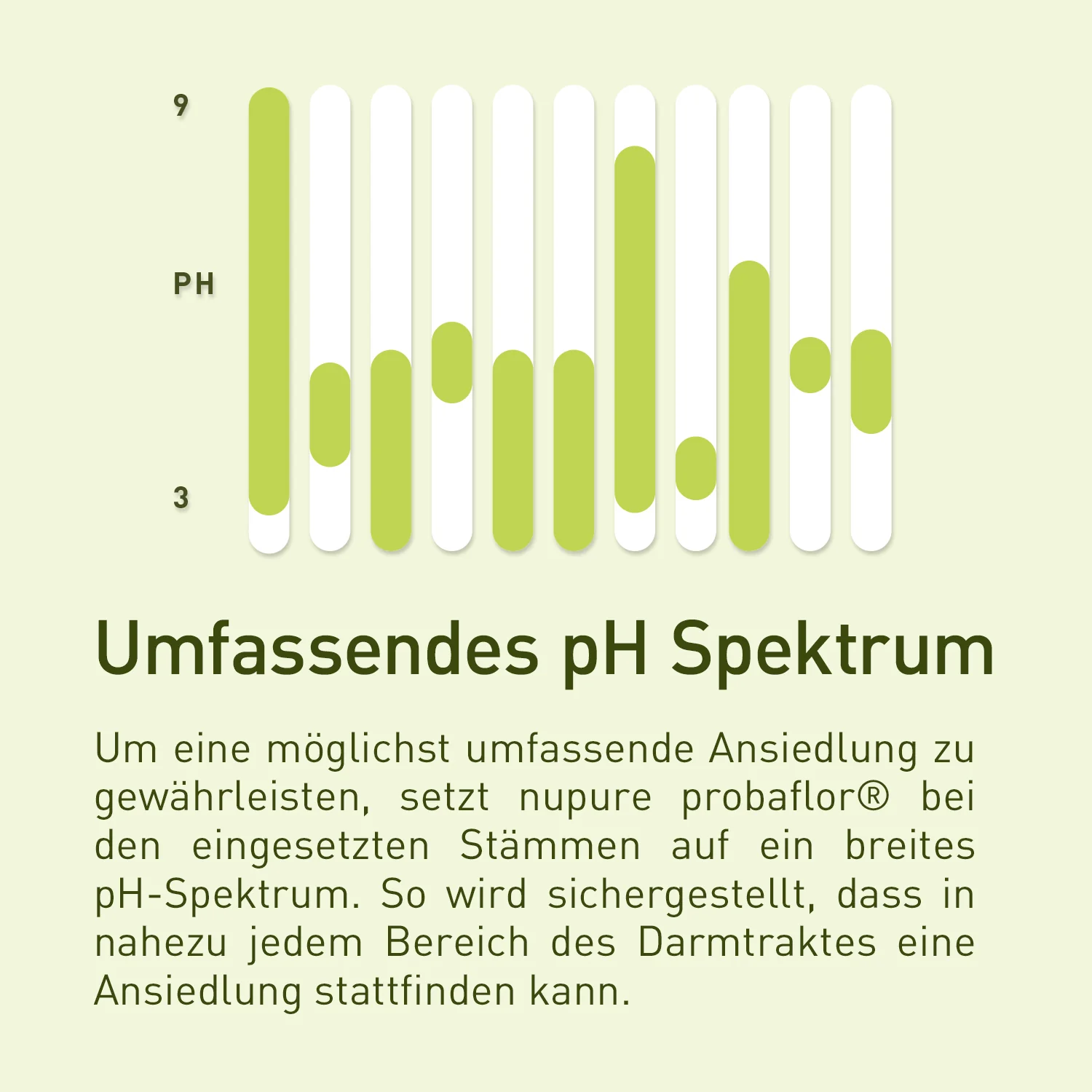 Vorschaubild 7