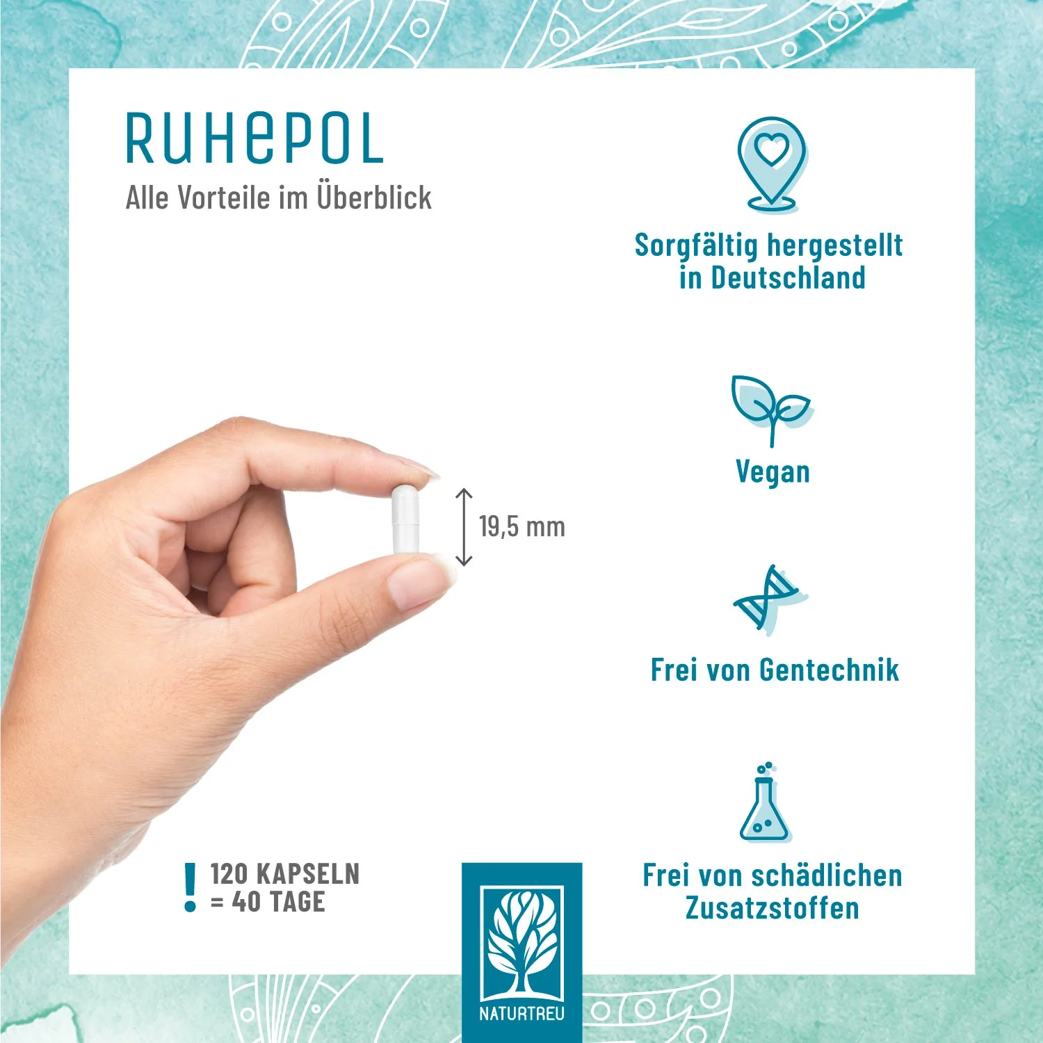 Vorschaubild 6