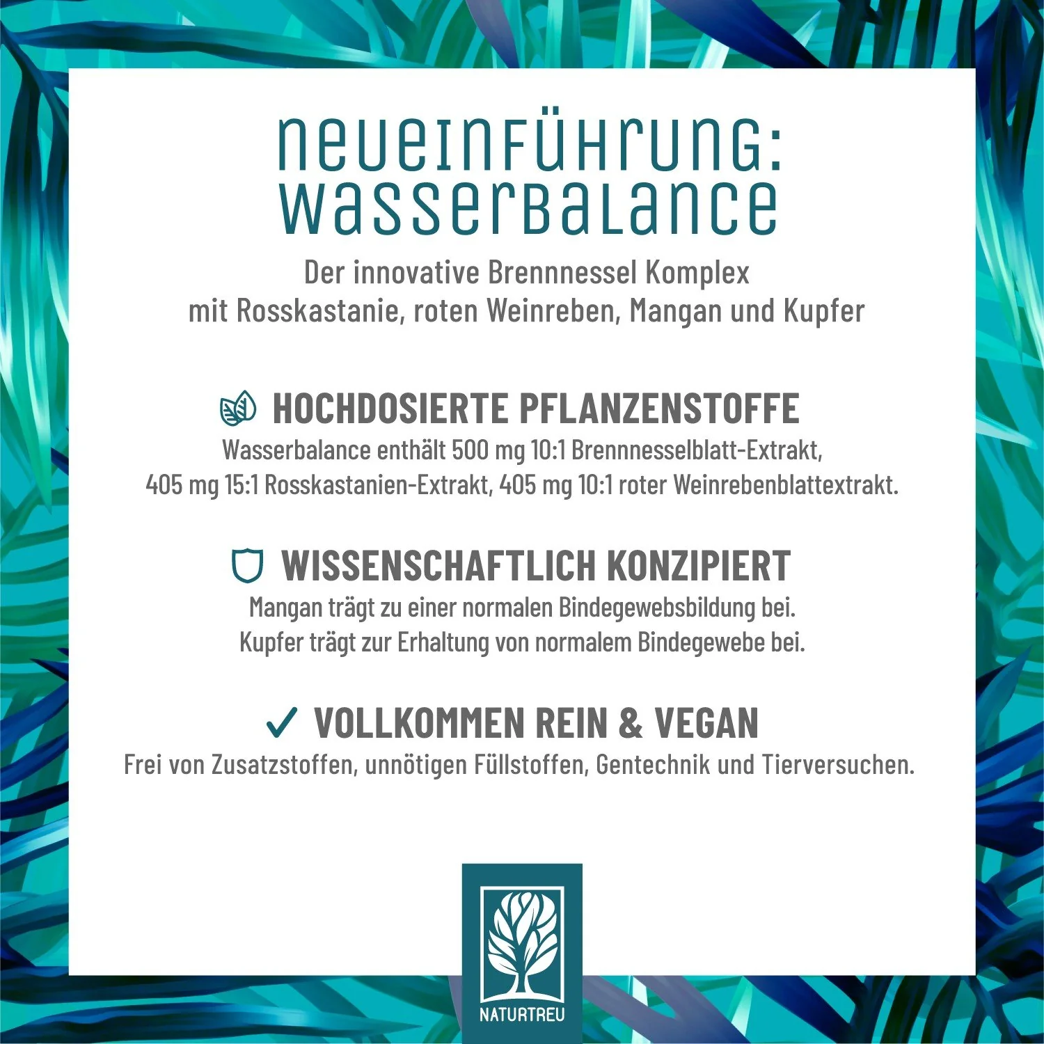 Vorschaubild 6